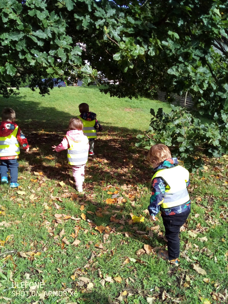 Children exploring the woodland area