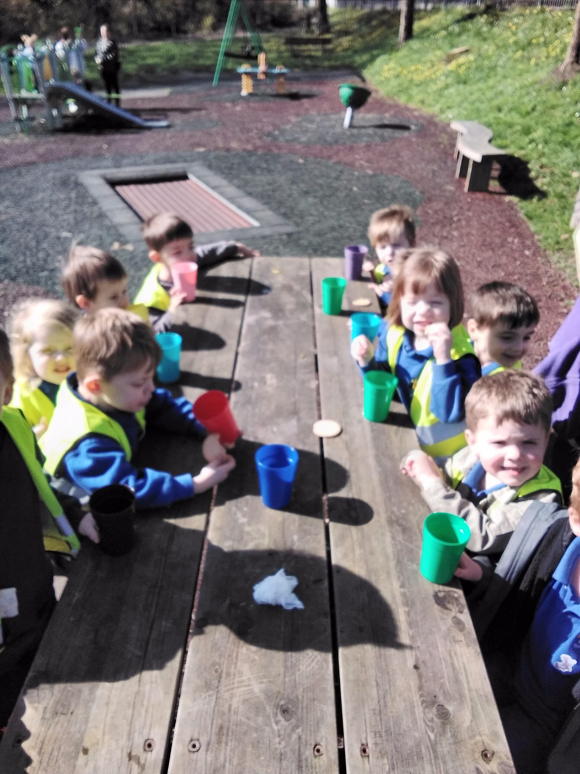 A sunny afternoon at the park